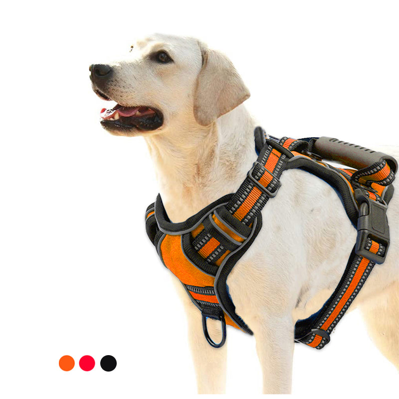 LeashLab No-Pull Dog Harness — Stop Pulling From The First Walk