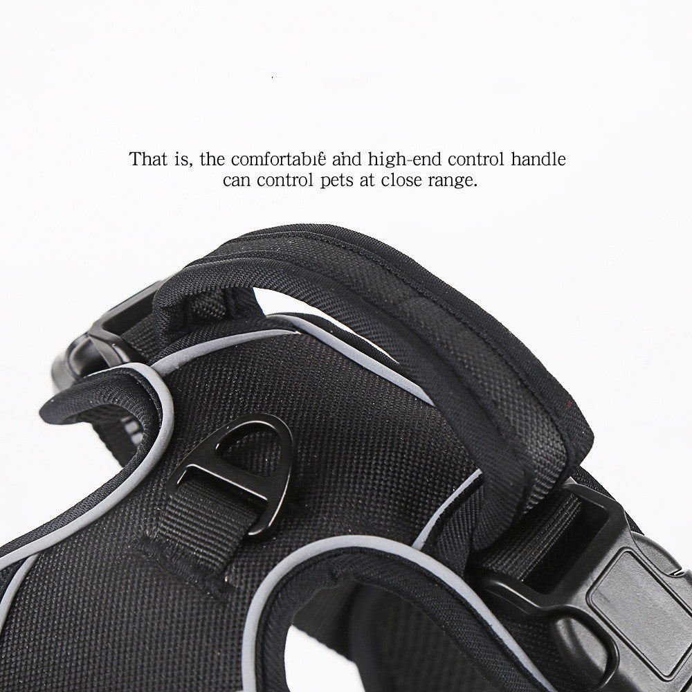 LeashLab No-Pull Dog Harness — Stop Pulling From The First Walk